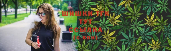 сатива Бугульма